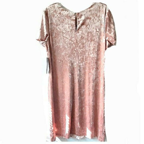 *Signature by Sangia Velvet Shift Dress - Picture 4 of 5
